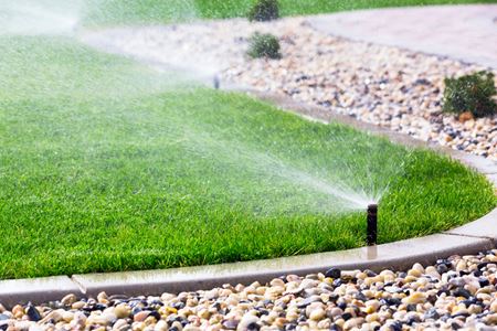 How To Properly Water Your Lawn